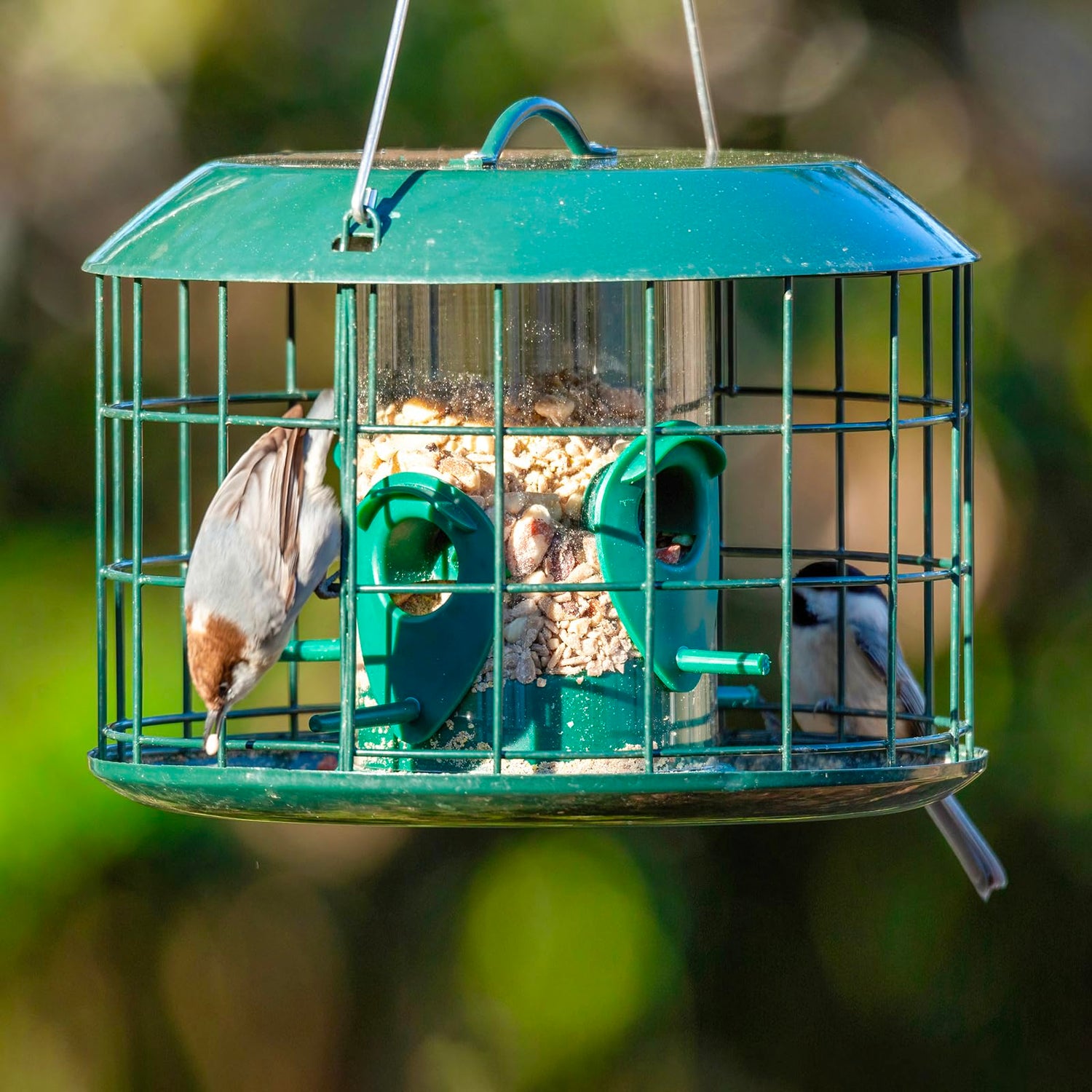 Bird supplies