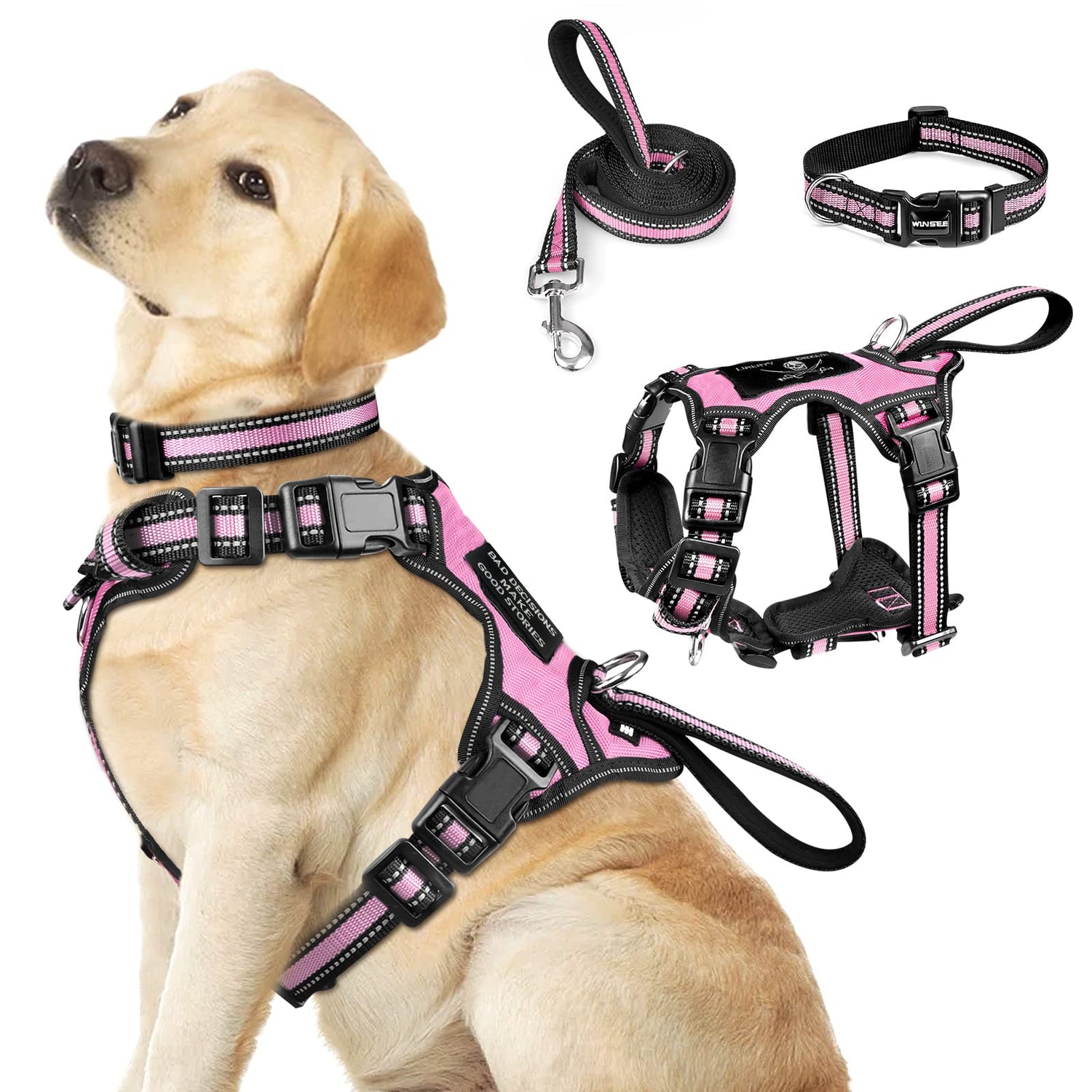 Collars, Harnesses and Leashes