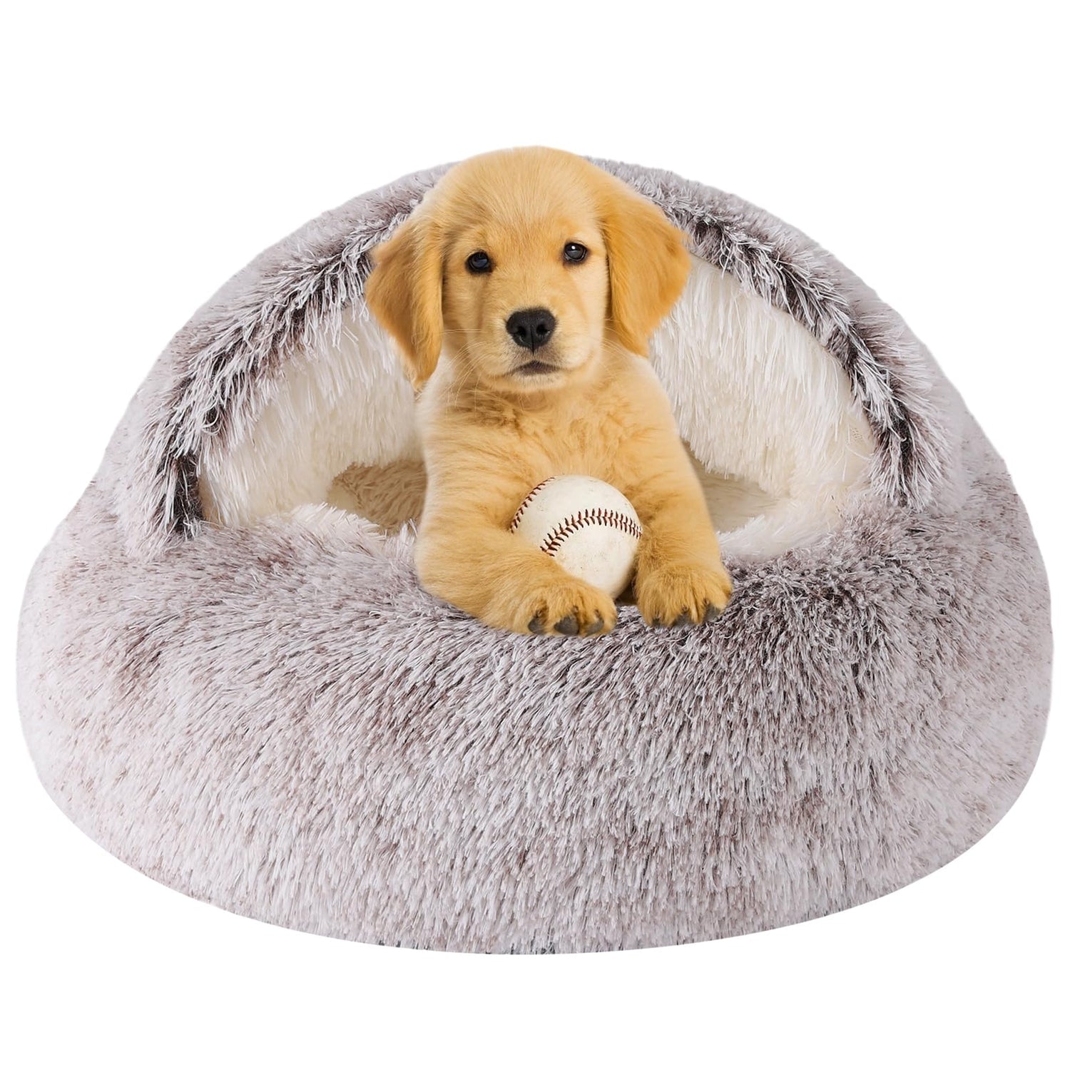 Pet Beds