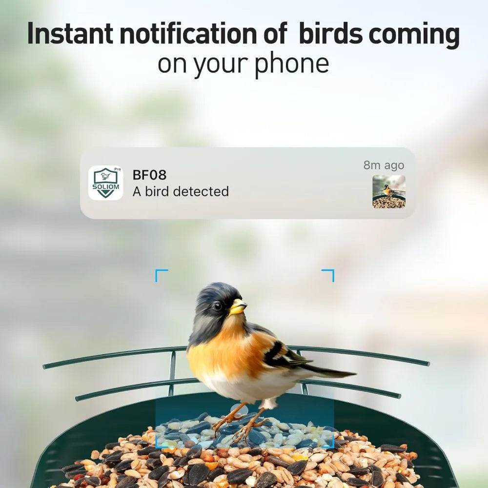 Soliom- Bird Feeder with Camera, 5W Solar Powered, AI Identify Species, Smart Wild Bird Watching, 2K