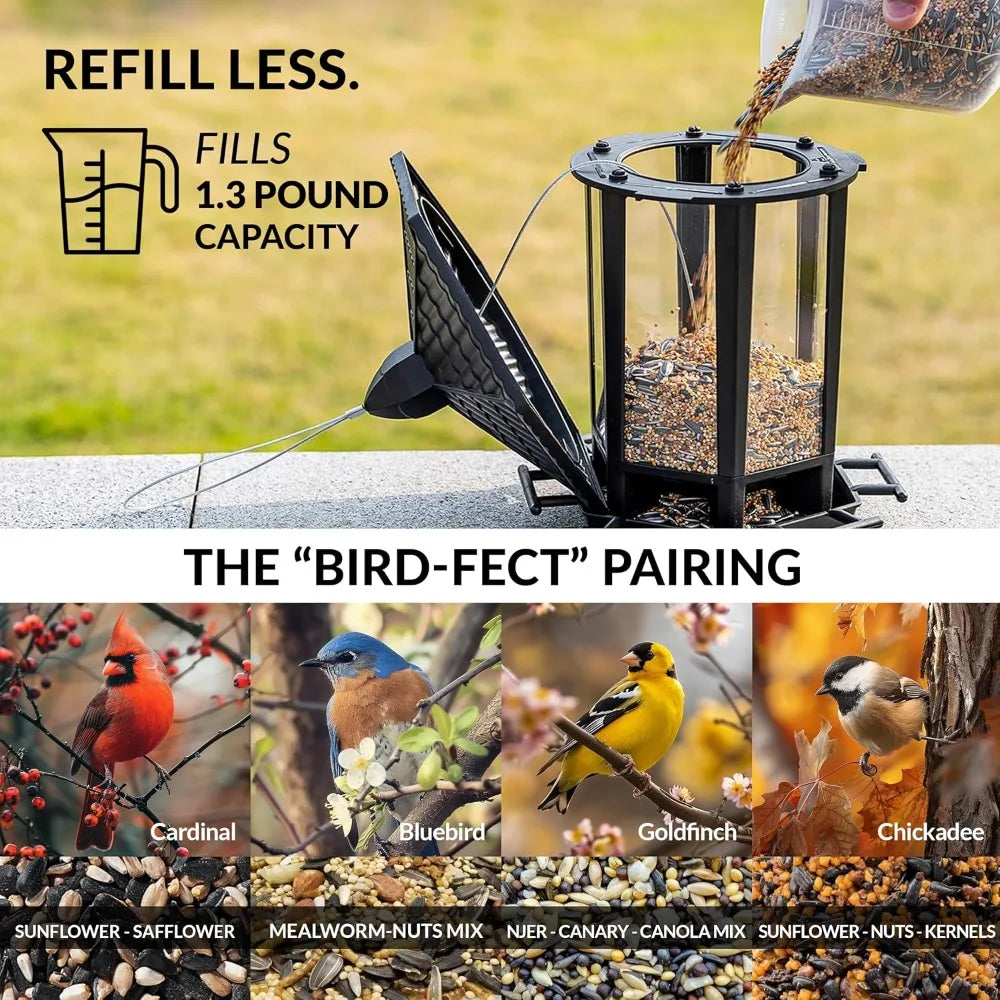 Polished Copper Castella Bird Feeder, T03P Design